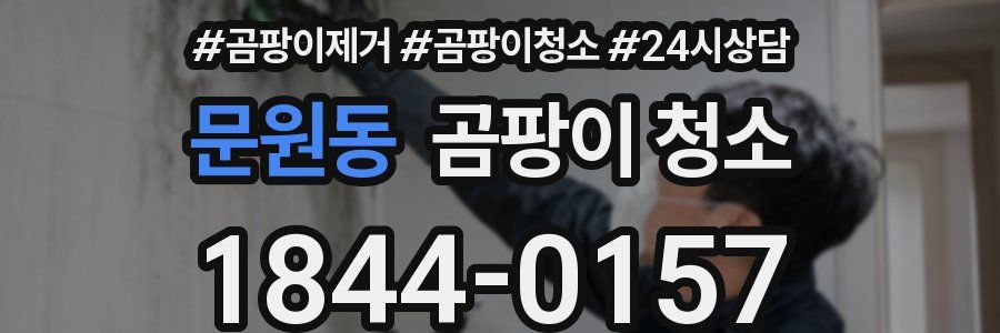 문원동 곰팡이 청소