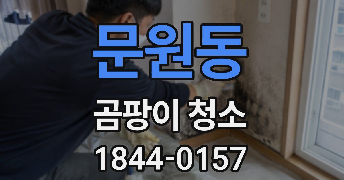 문원동 곰팡이 청소
