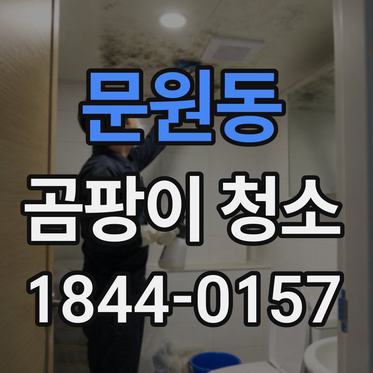 문원동 곰팡이 청소