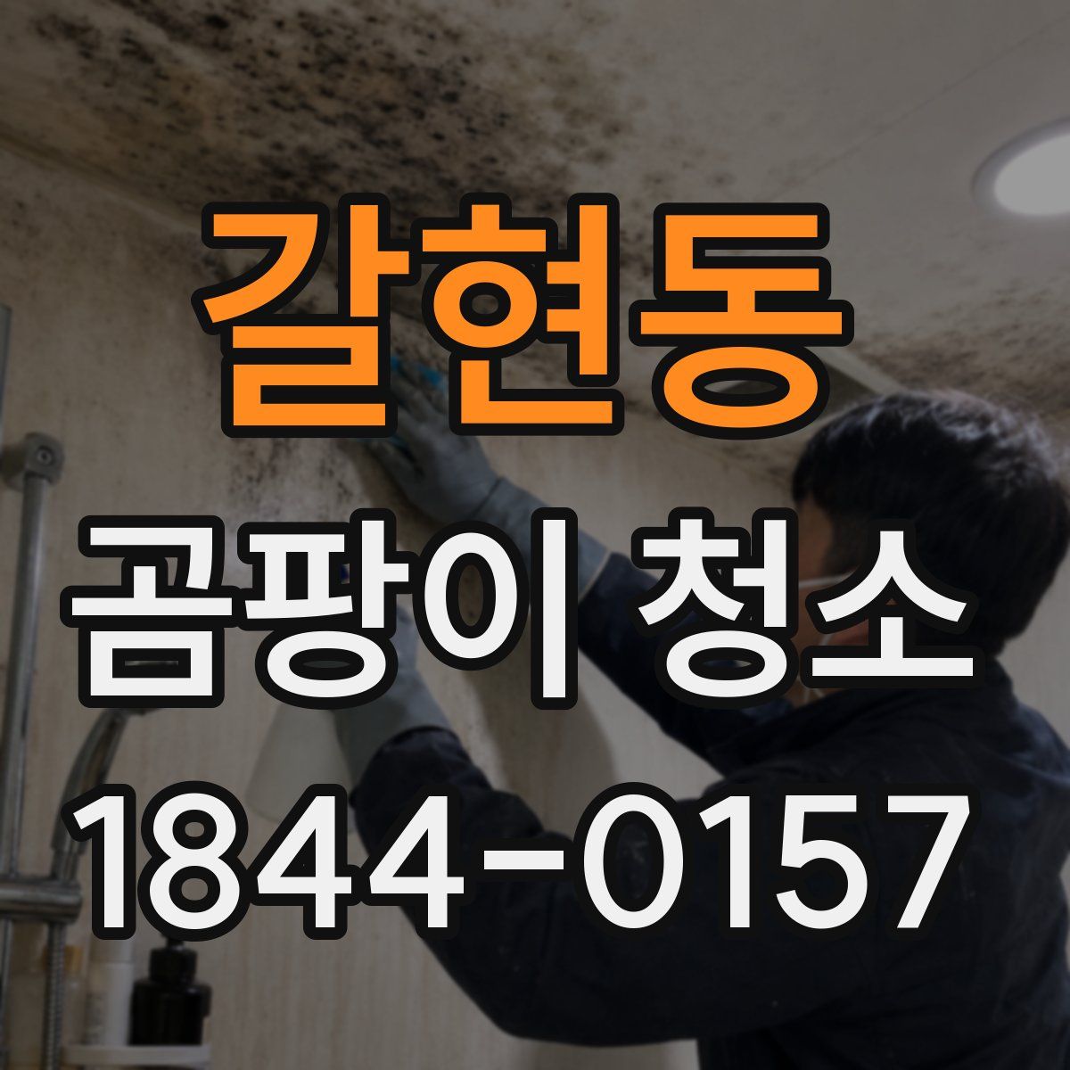갈현동 곰팡이 청소