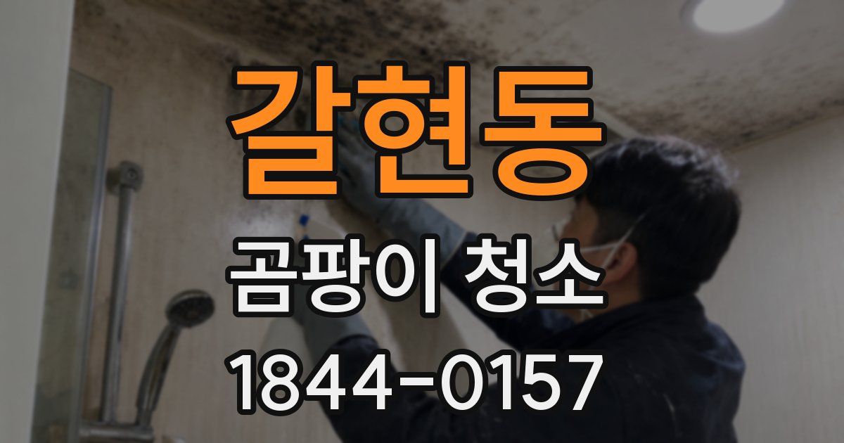 갈현동 곰팡이 청소