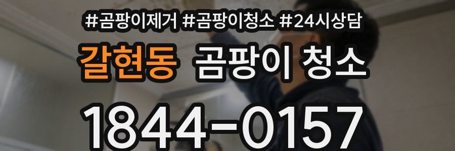 갈현동 곰팡이 청소