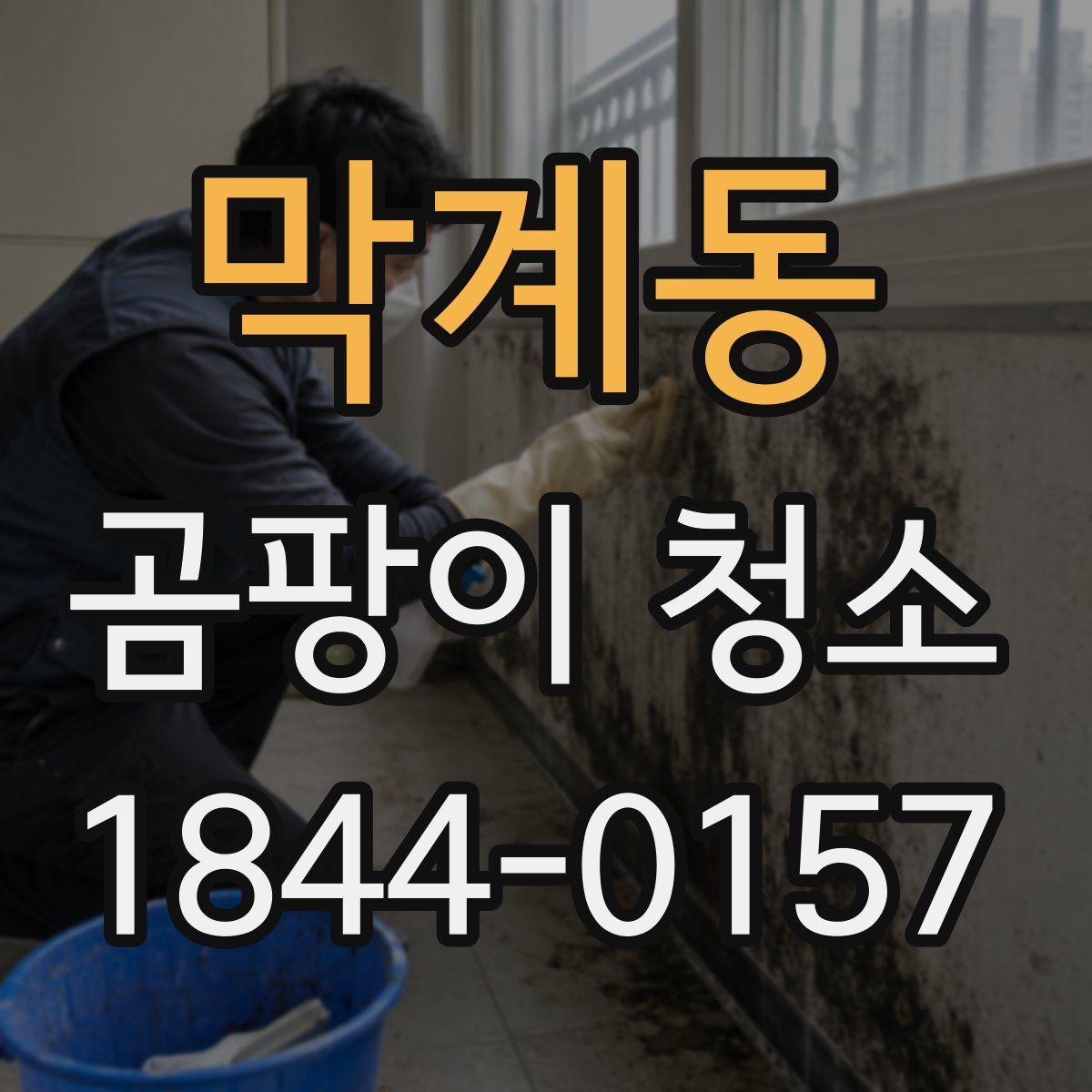 막계동 곰팡이 청소