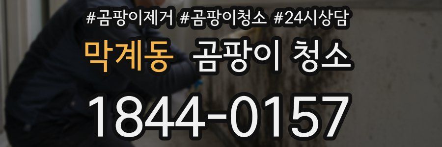 막계동 곰팡이 청소