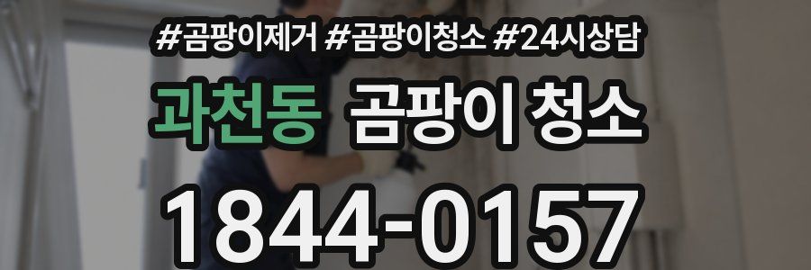 과천동 곰팡이 청소