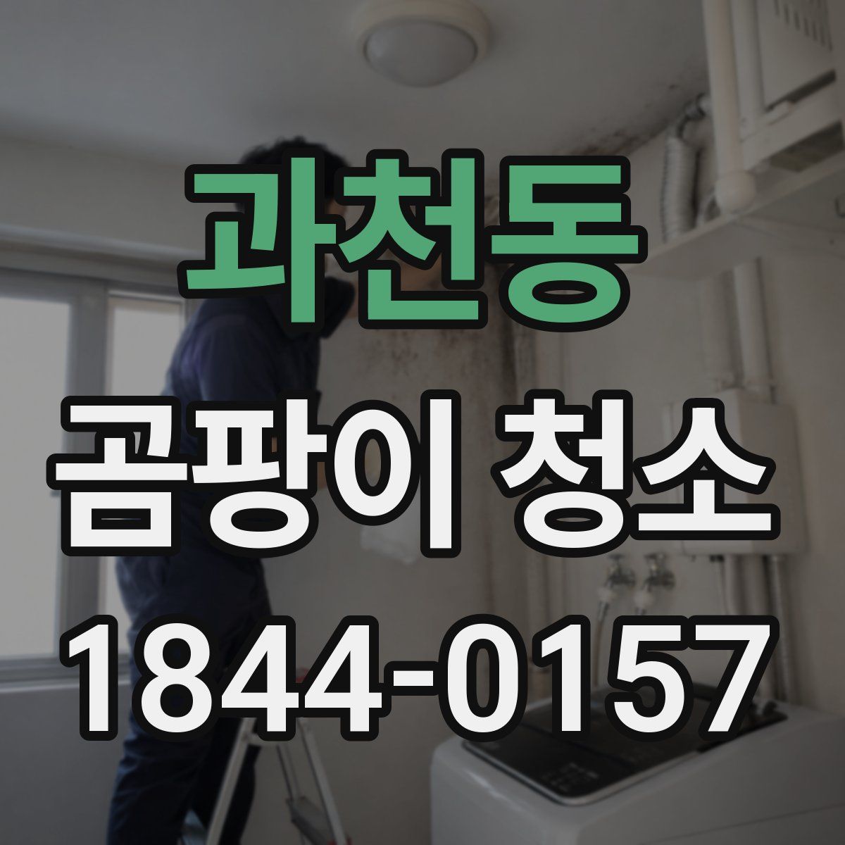 과천동 곰팡이 청소