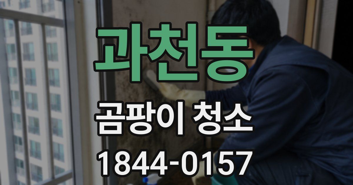 과천동 곰팡이 청소