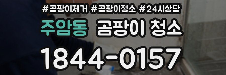 주암동 곰팡이 청소