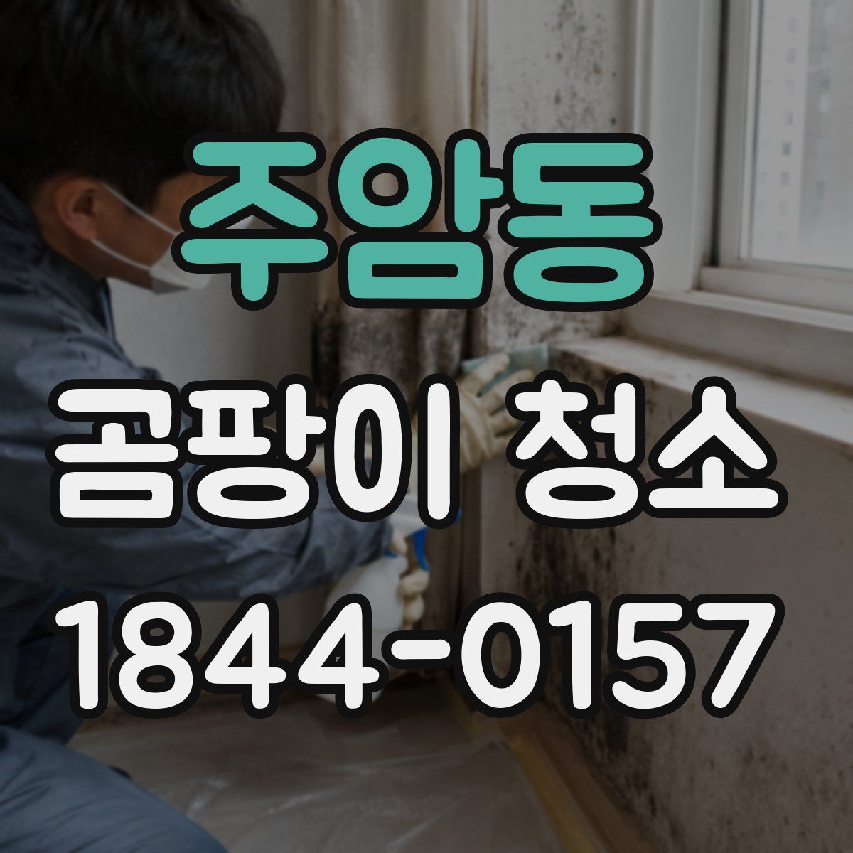 주암동 곰팡이 청소