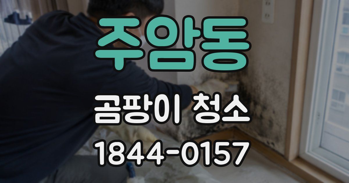 주암동 곰팡이 청소