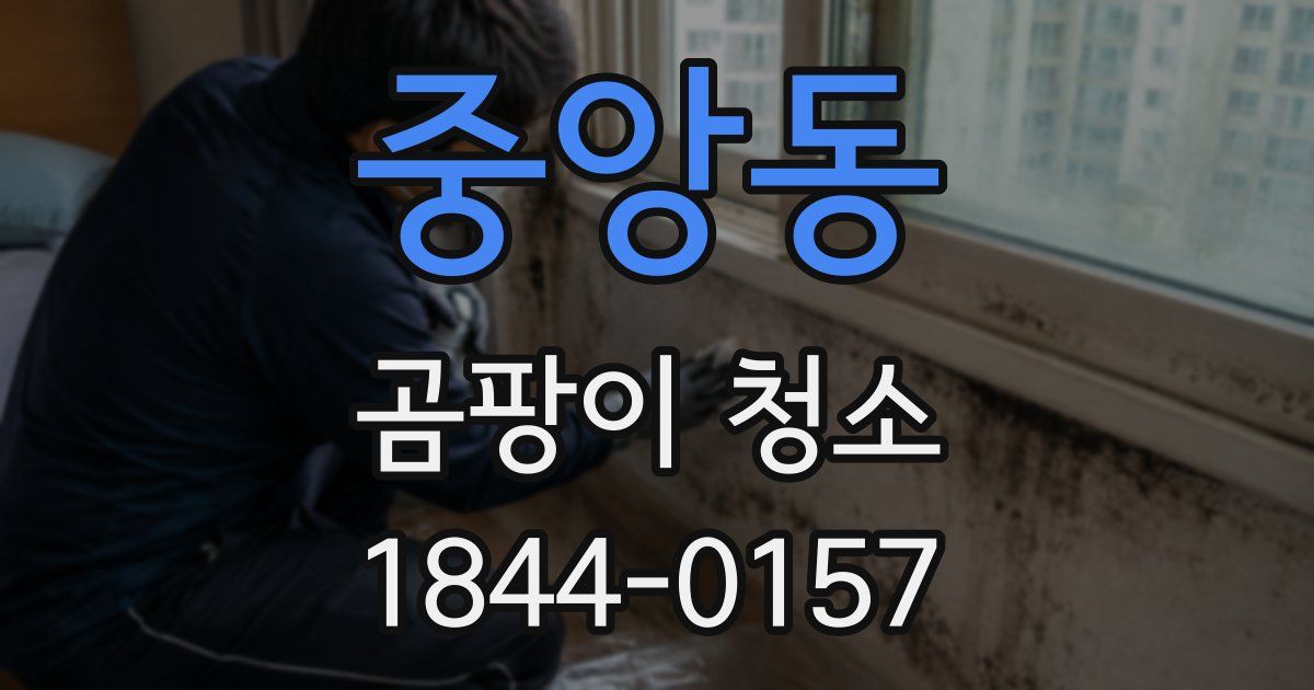 중앙동 곰팡이 청소