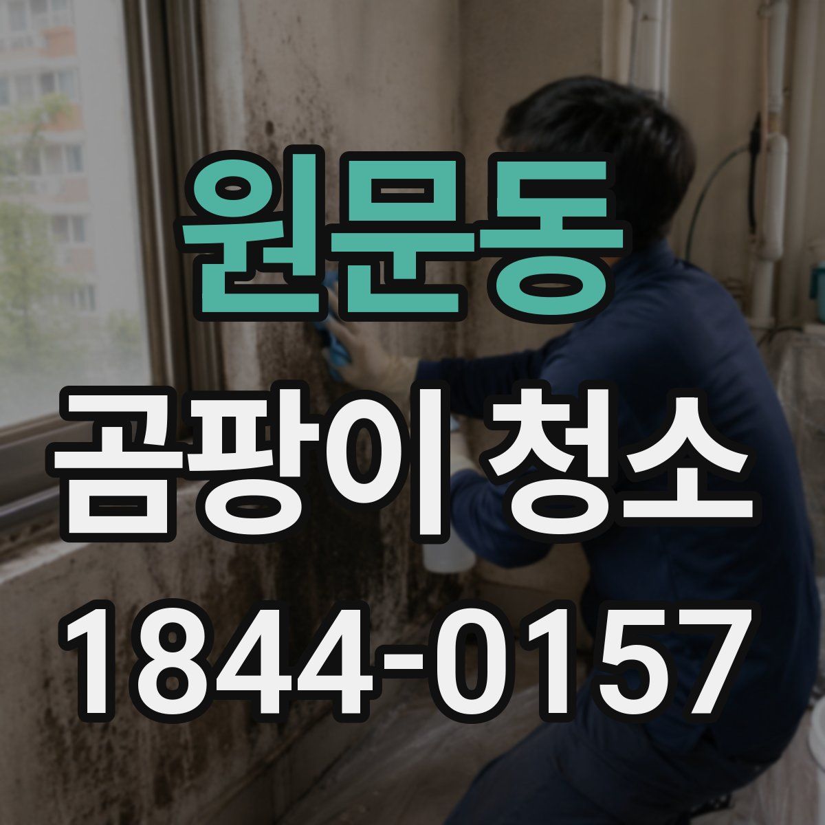 원문동 곰팡이 청소