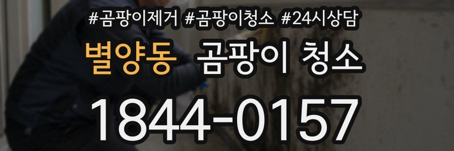 별양동 곰팡이 청소