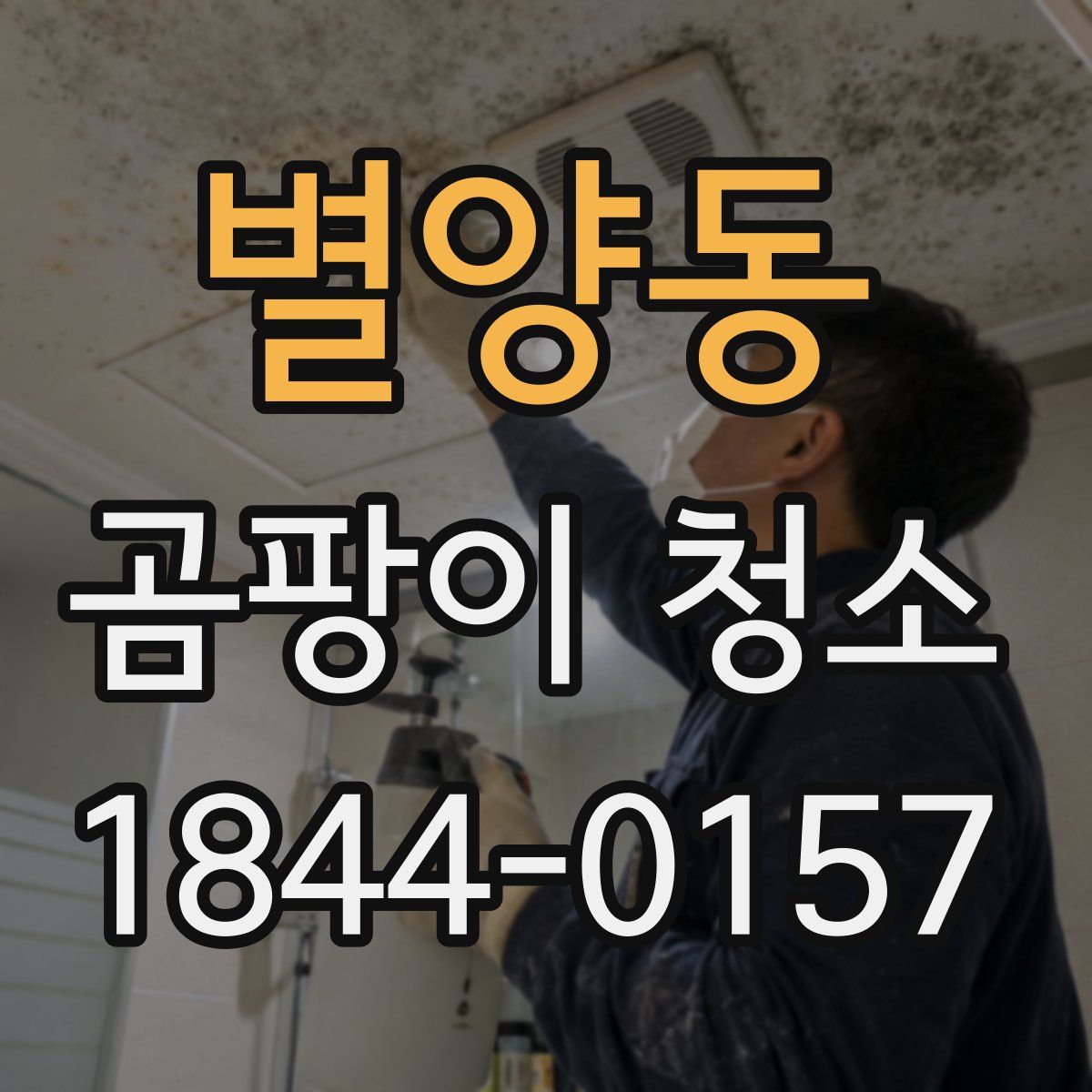 별양동 곰팡이 청소