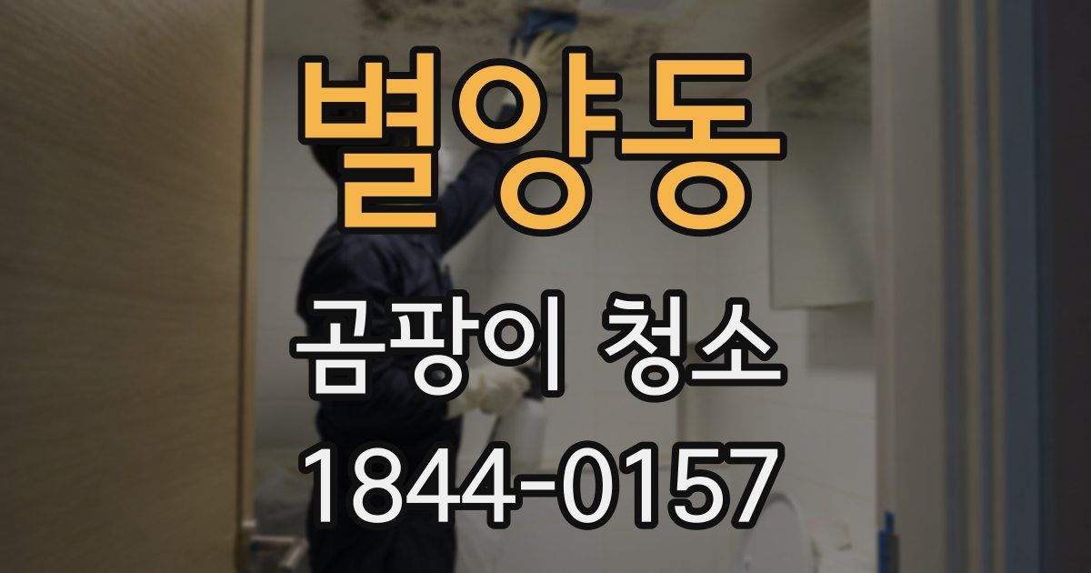 별양동 곰팡이 청소