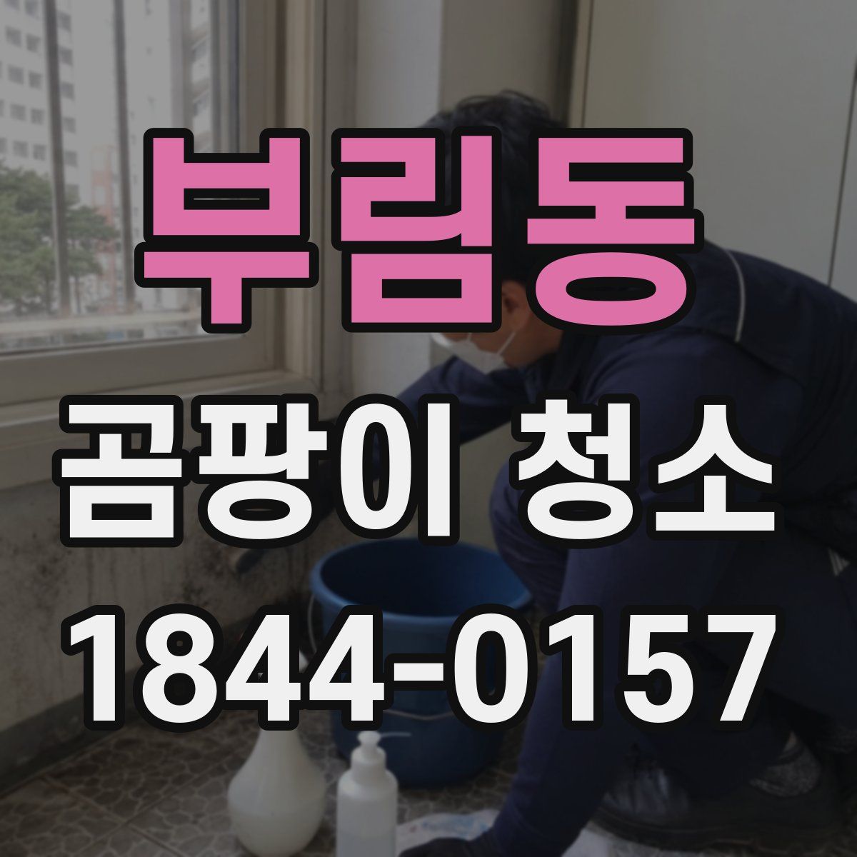 부림동 곰팡이 청소