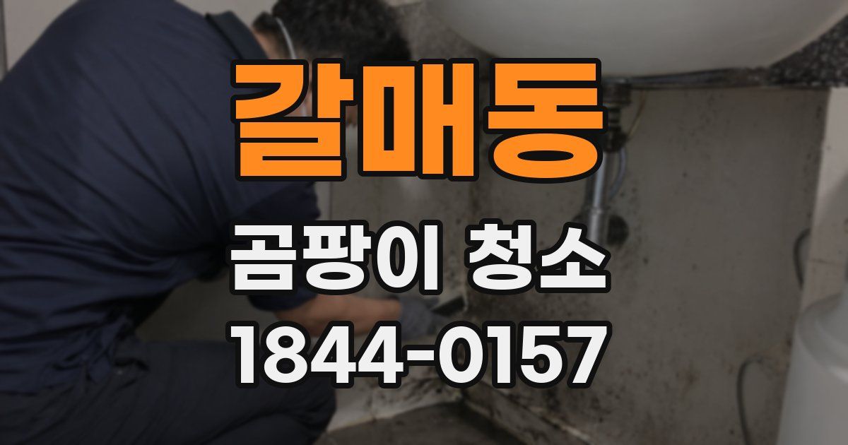 갈매동 곰팡이 청소