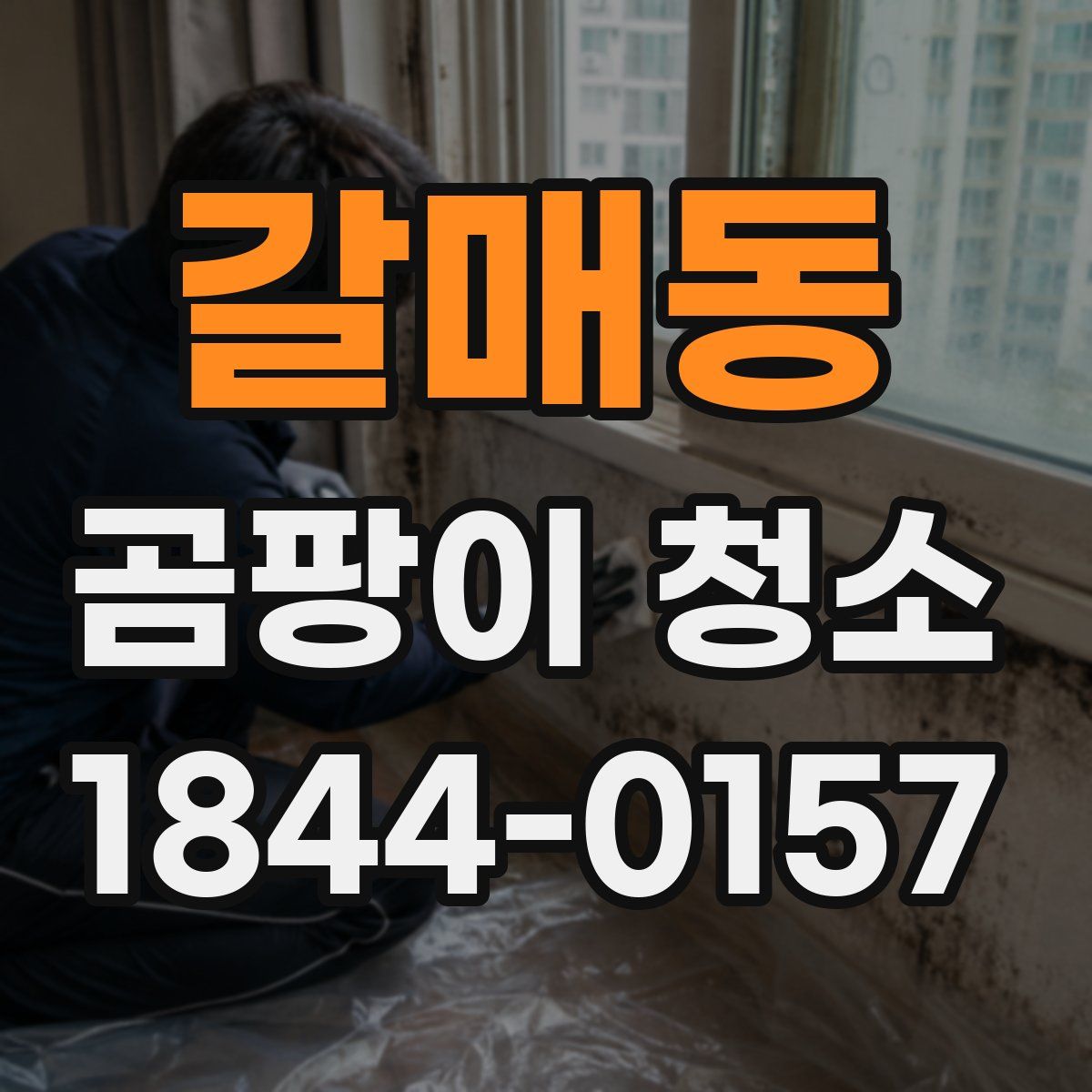 갈매동 곰팡이 청소