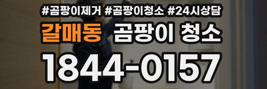 갈매동 곰팡이 청소