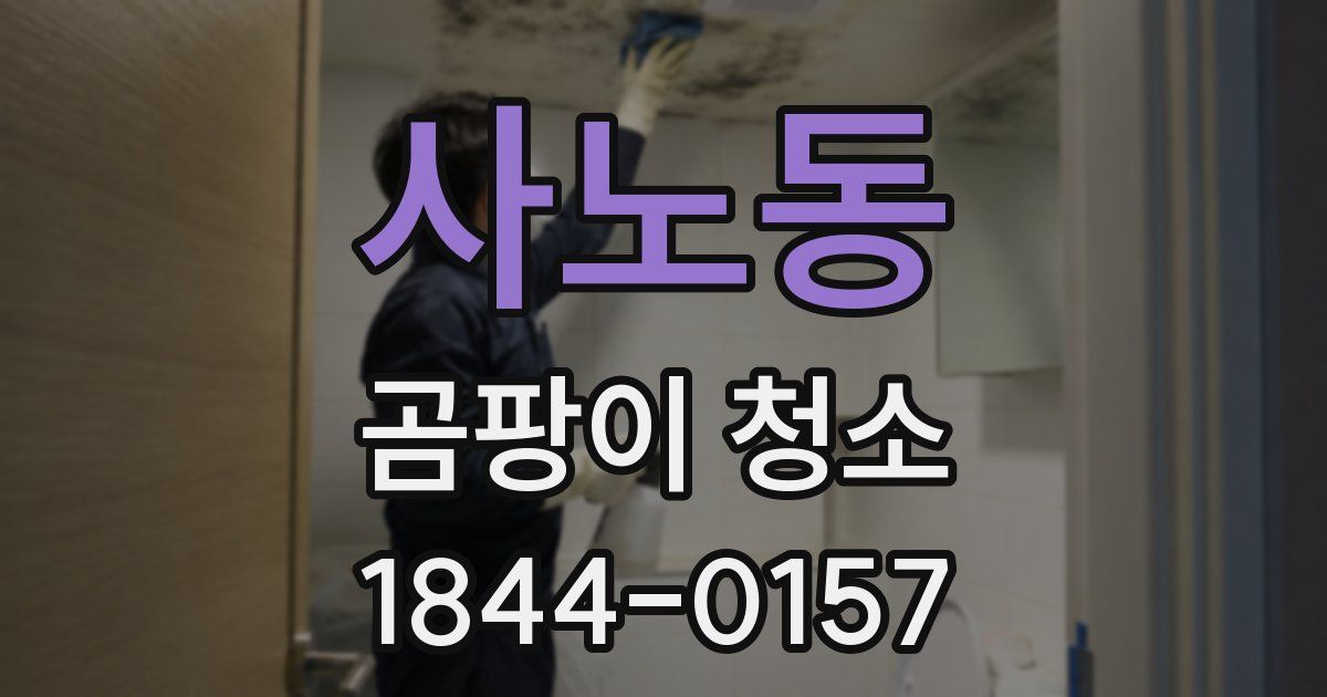 사노동 곰팡이 청소