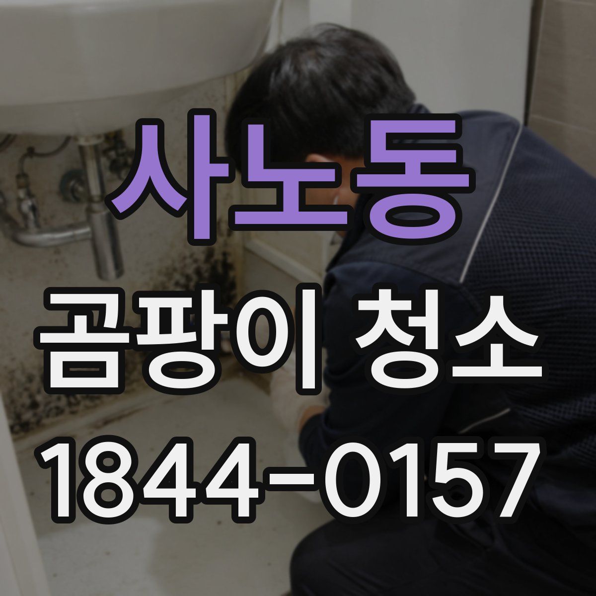 사노동 곰팡이 청소