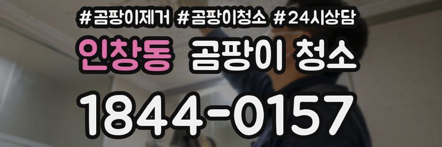 인창동 곰팡이 청소