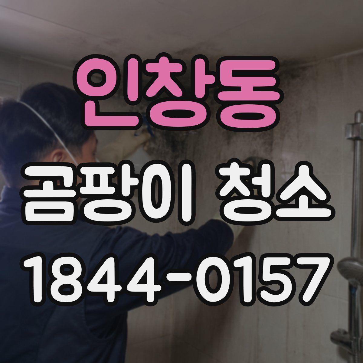 인창동 곰팡이 청소
