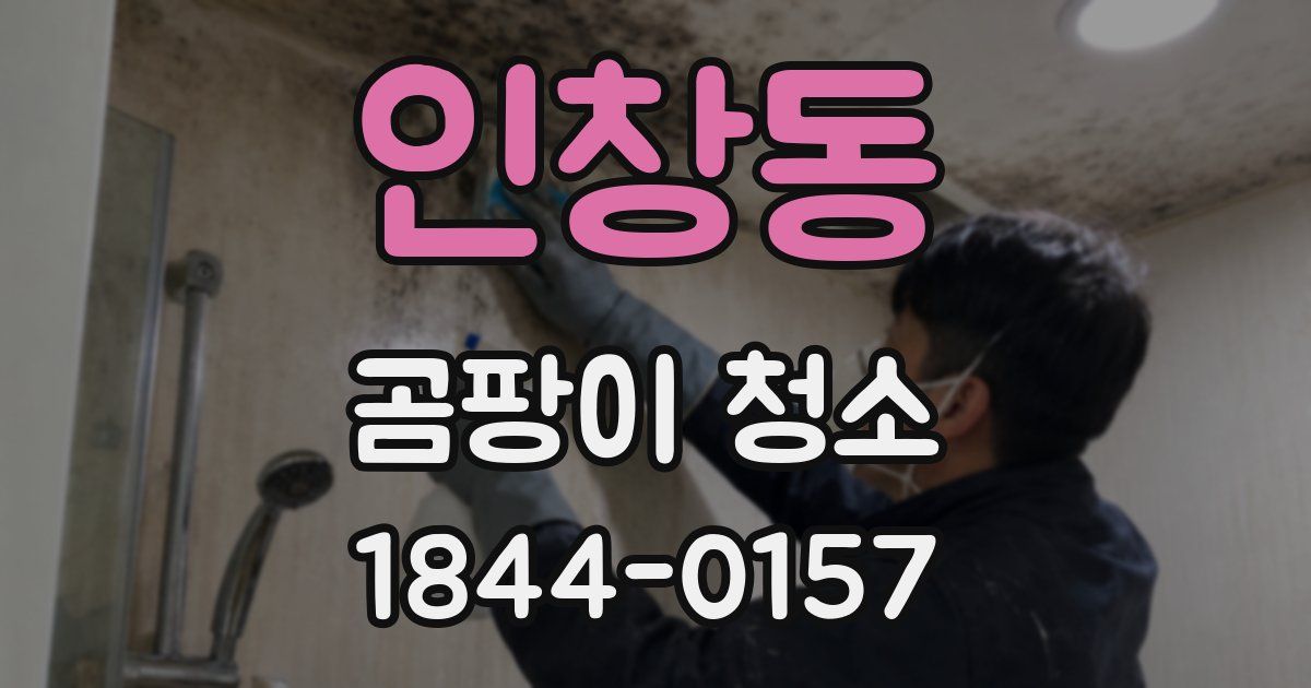 인창동 곰팡이 청소