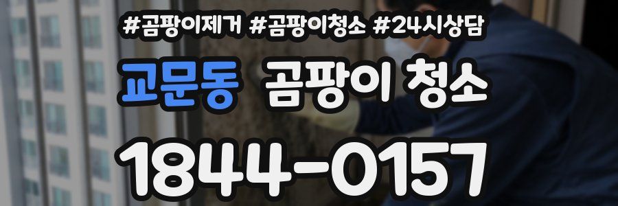 교문동 곰팡이 청소