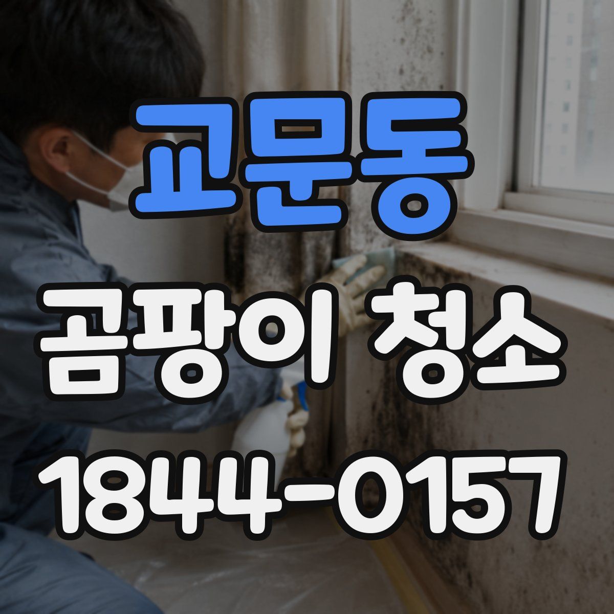 교문동 곰팡이 청소
