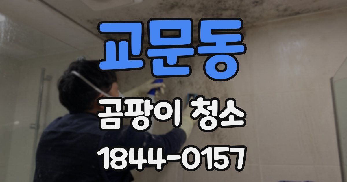 교문동 곰팡이 청소