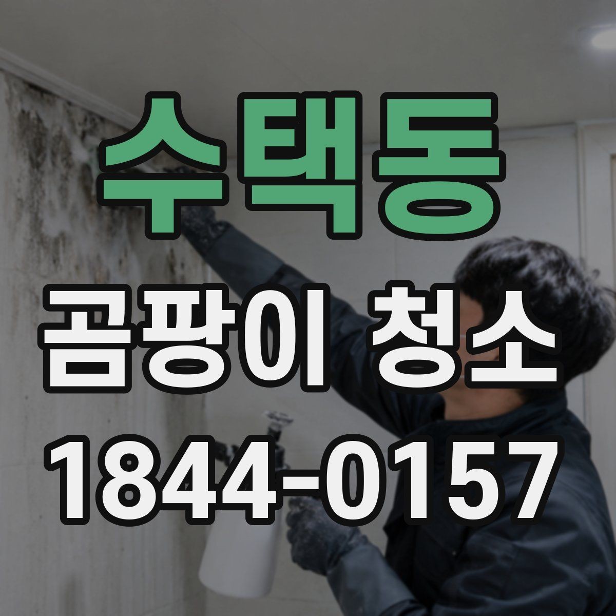 수택동 곰팡이 청소 이후 다시 생기지 않도록 막는 원인별 관리