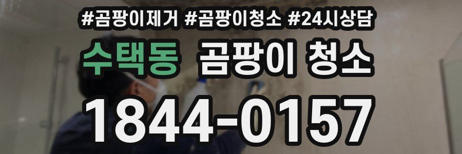 수택동 곰팡이 청소