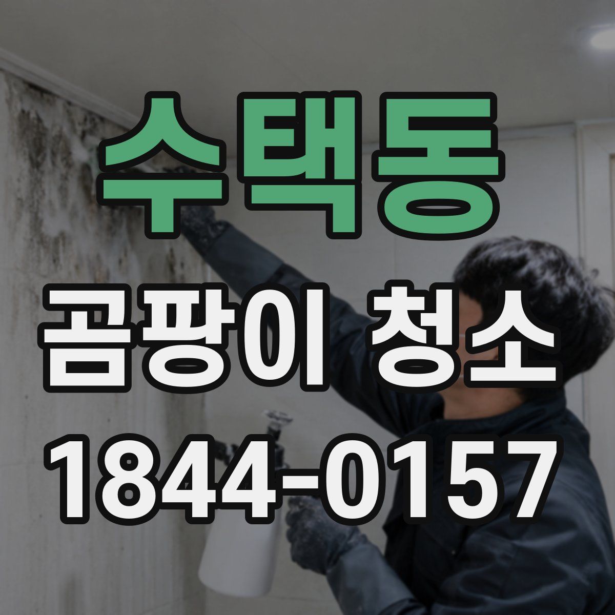 수택동 곰팡이 청소
