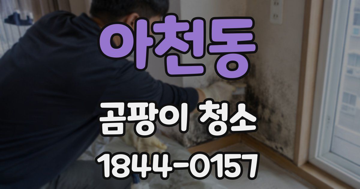 아천동 곰팡이 청소