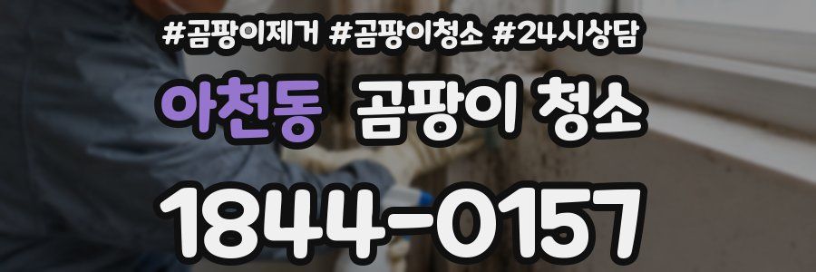 아천동 곰팡이 청소