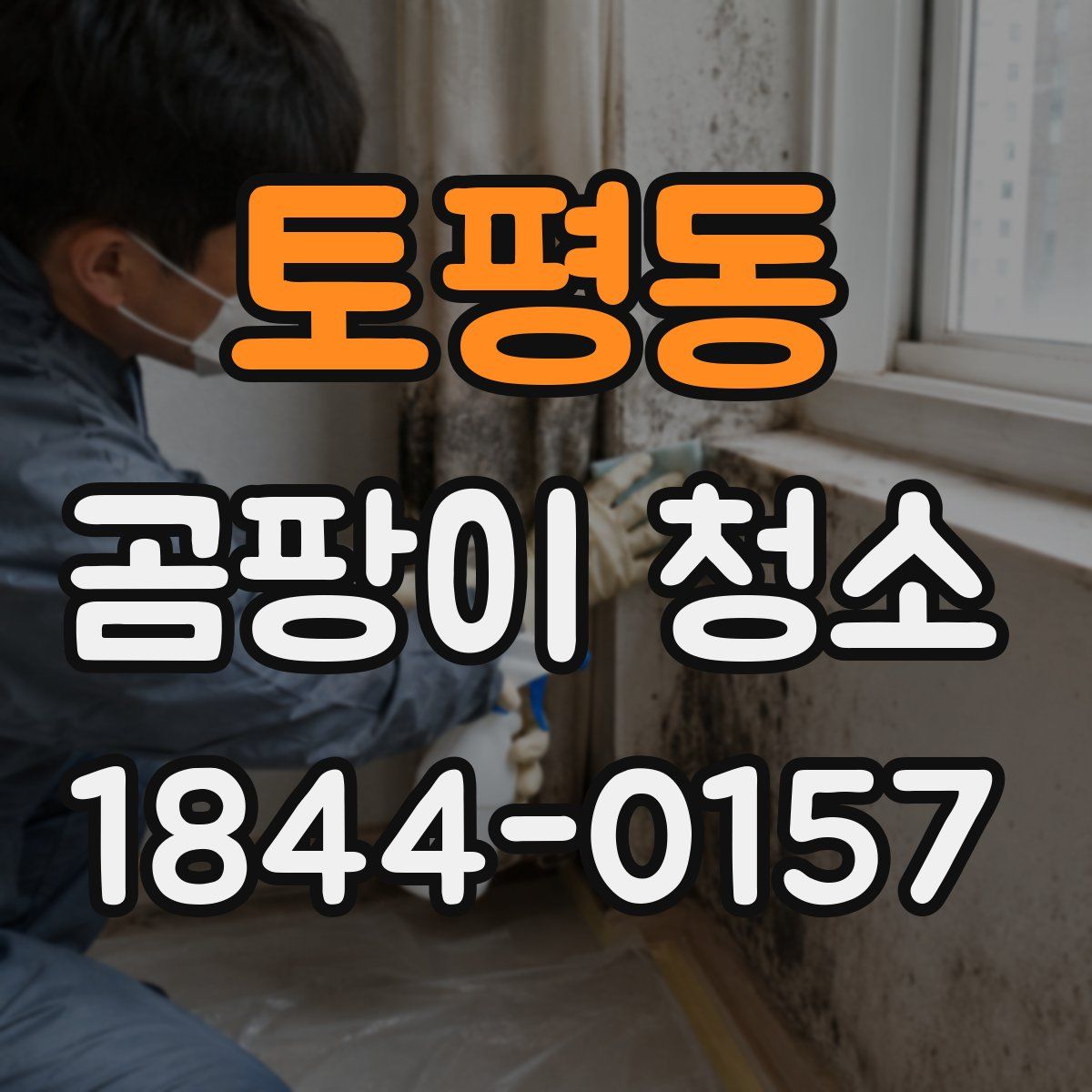 토평동 곰팡이 청소