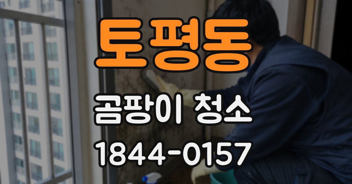 토평동 곰팡이 청소