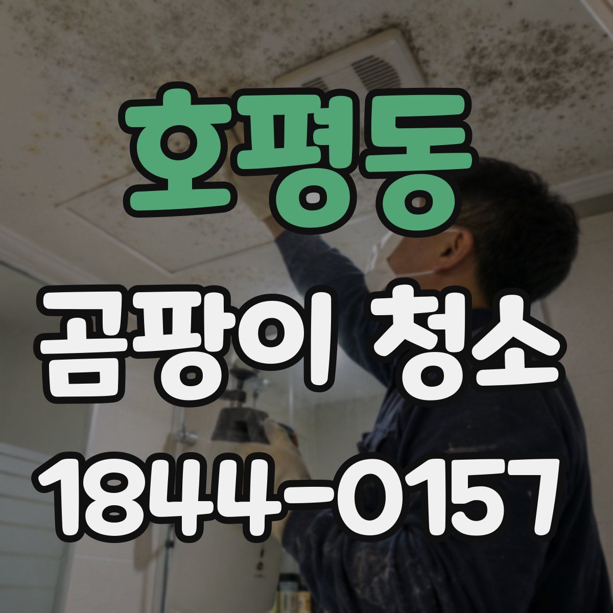 호평동 곰팡이 청소