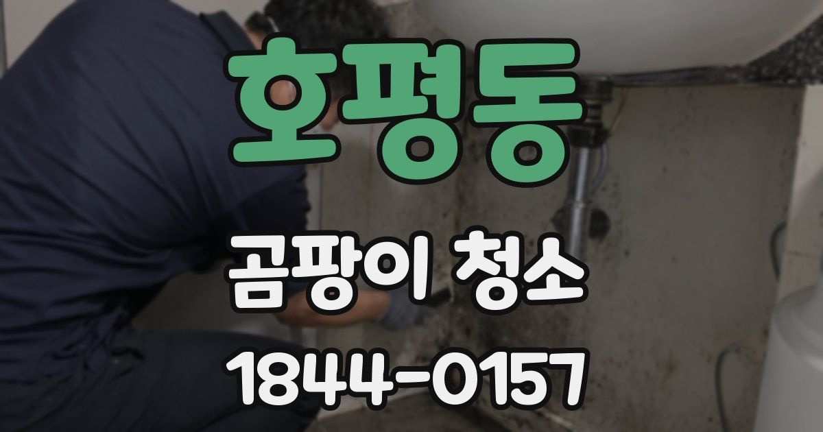 호평동 곰팡이 청소
