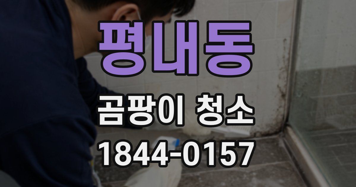 평내동 곰팡이 청소