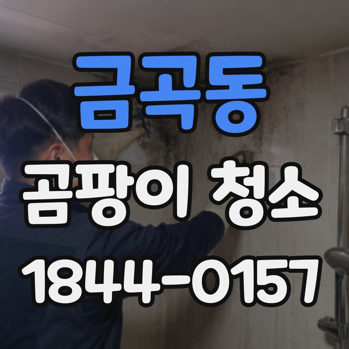 금곡동 곰팡이 청소
