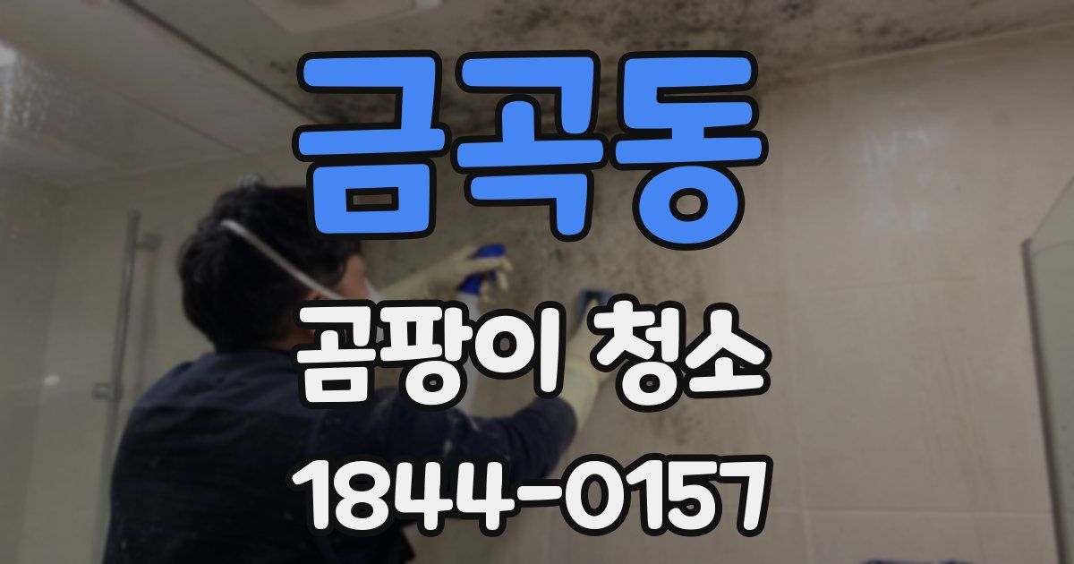 금곡동 곰팡이 청소