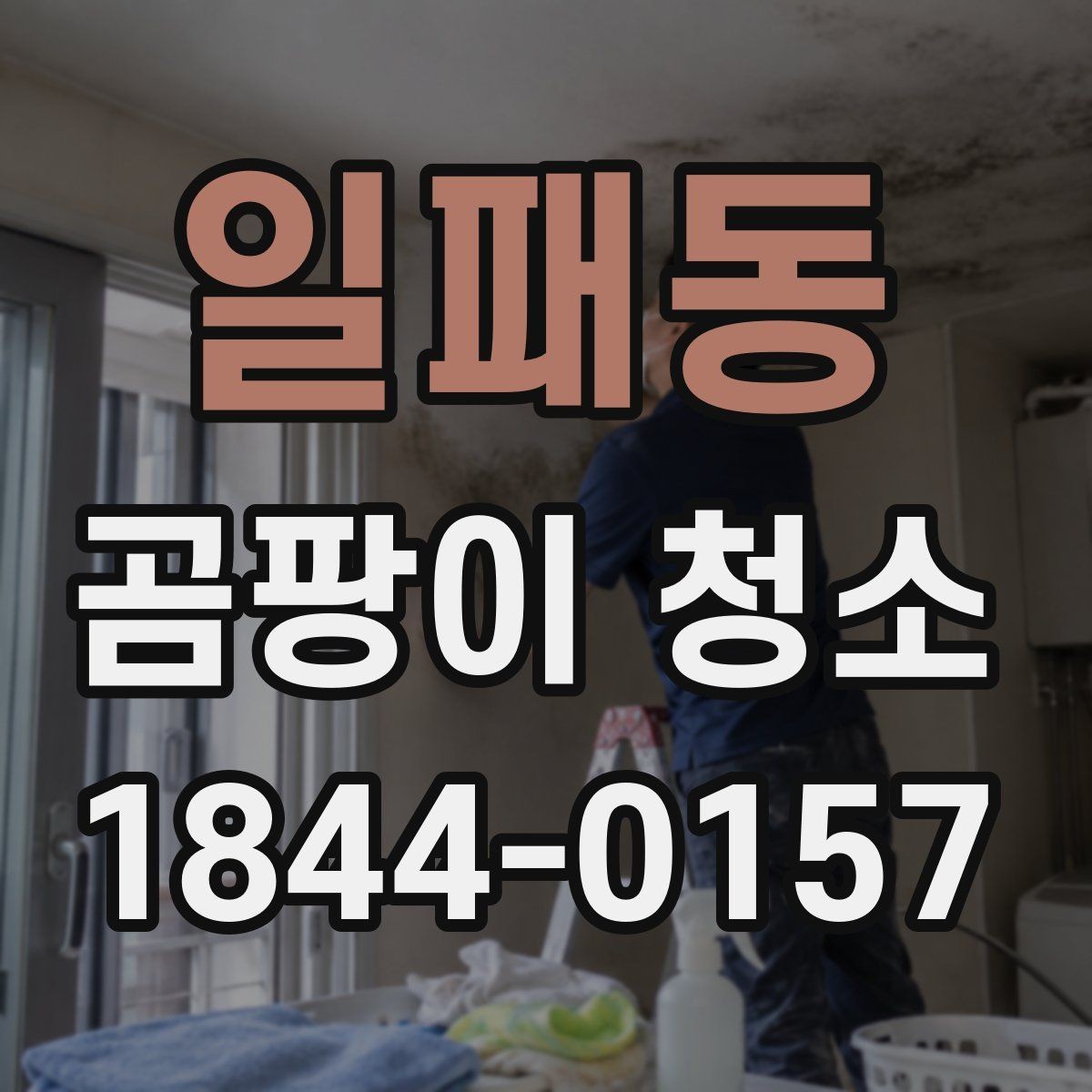 일패동 곰팡이 청소 욕실과 주방 오염 패턴이 다른 이유