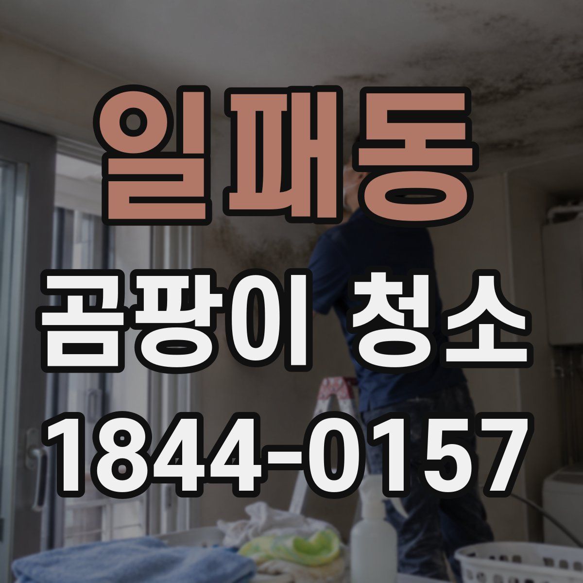 일패동 곰팡이 청소