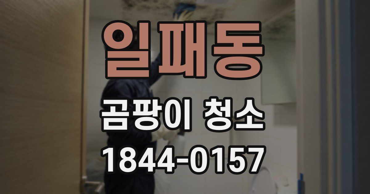 일패동 곰팡이 청소