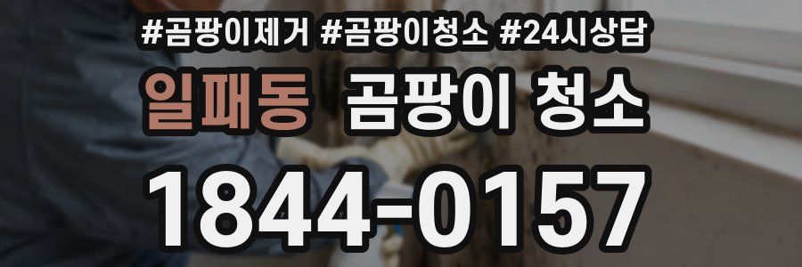 일패동 곰팡이 청소