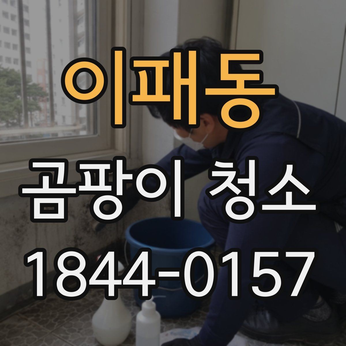이패동 곰팡이 청소 오염이 남는 벽지와 목재의 차이