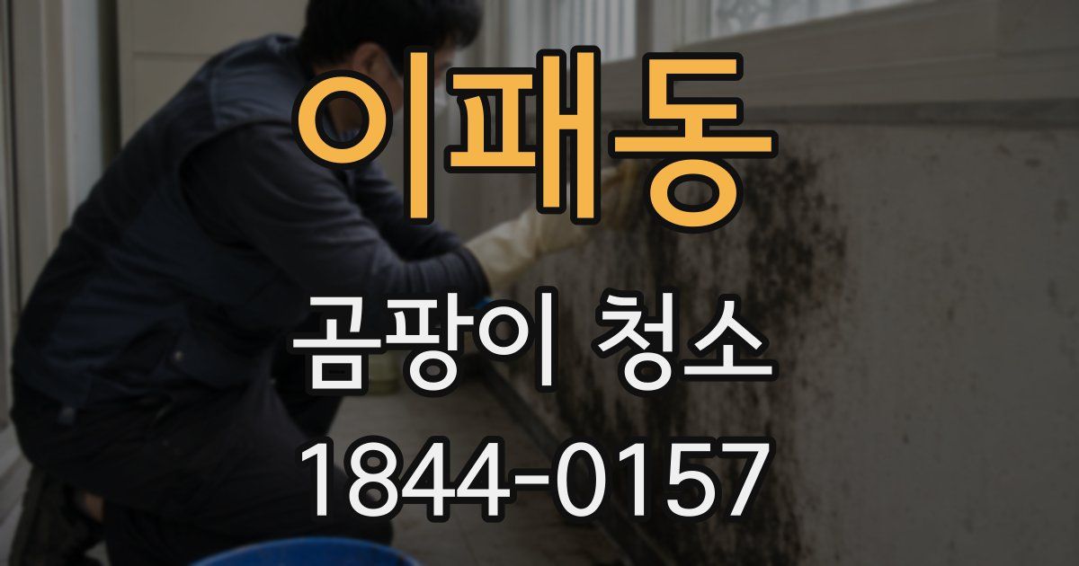 이패동 곰팡이 청소