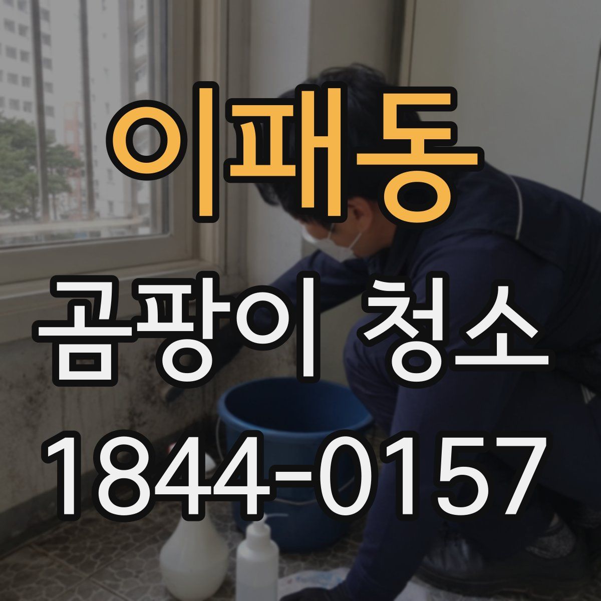 이패동 곰팡이 청소